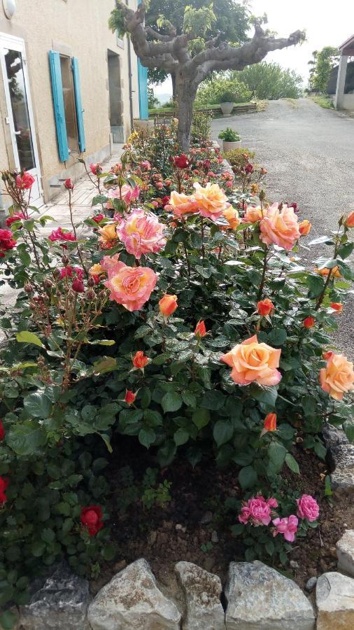 Bed and Breakfast La Vigneronne Villelongue-d'Aude Экстерьер фото